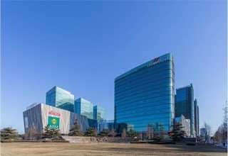 建设官方网站网站网站建设